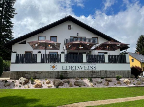 Wellness Hotel Edelweiss, Liberec